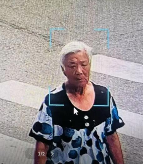 走失者照片 湖州市寻人：八旬老太走失，穿蓝黑花...