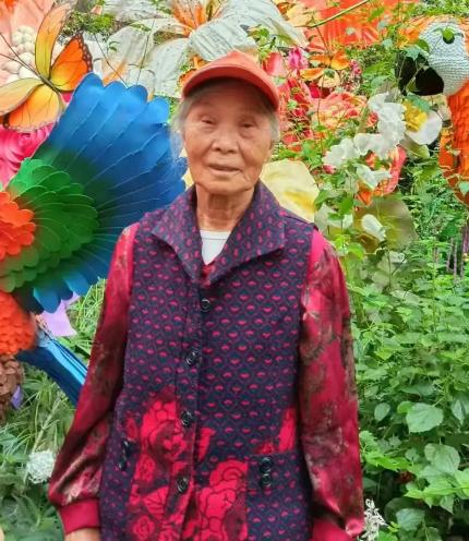 走失者照片 昆明市寻人：七旬老太走失，穿红色上...