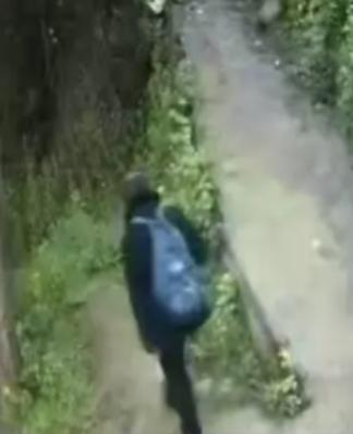 走失者照片 昭通市寻人：八旬老人走失，穿黑色衣...