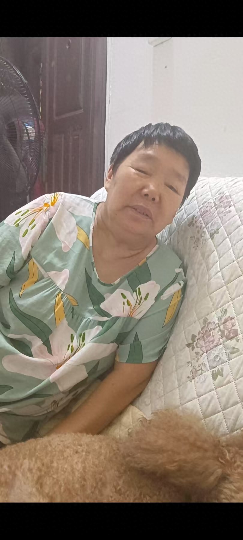 走失者照片 漯河市寻人：七旬老太走失，穿蓝底碎...