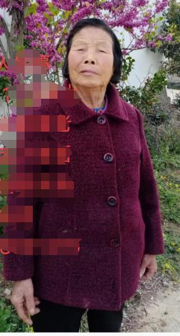走失者照片 平顶山市寻人：八旬老太走失，穿红色...