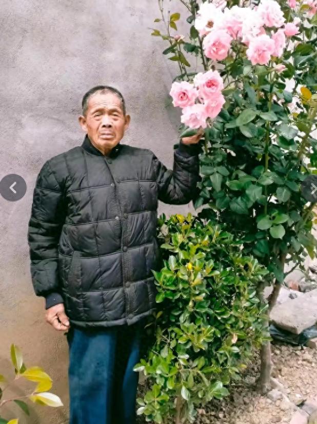 走失者照片 阜阳市寻人：八旬老人走失，高1米5...