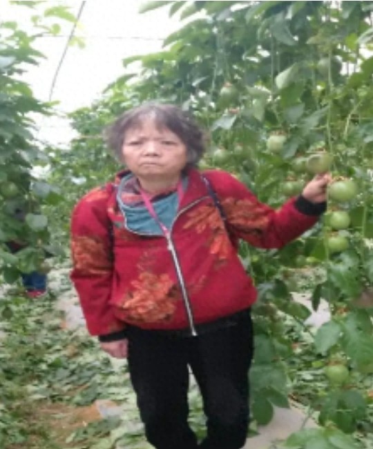 走失者照片 贵阳市清镇市寻人：六旬老太走失，穿...