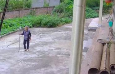 走失者照片 资阳市寻人：七旬老太走失，穿黑色上...
