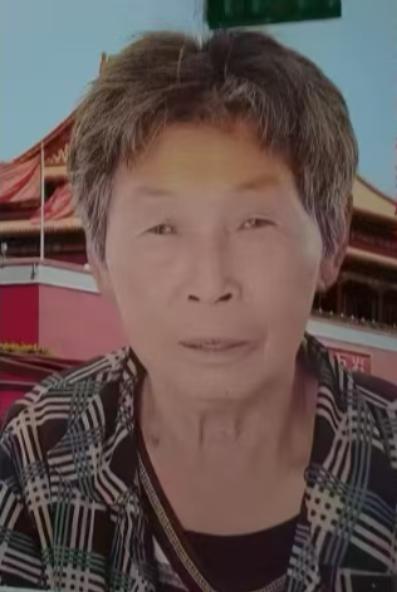 走失者照片 宿州市寻人：七旬老太走失，穿紫红色...