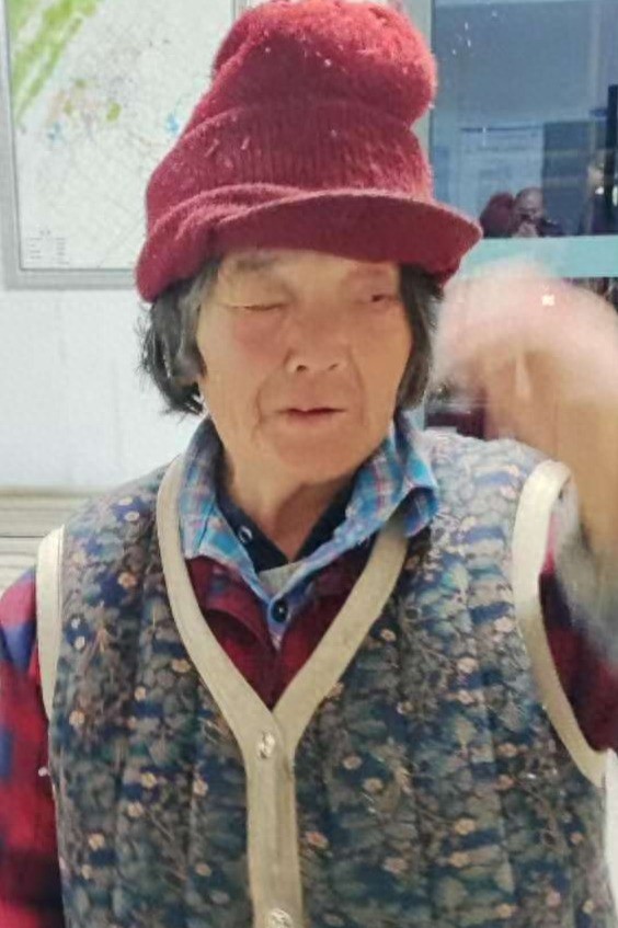 走失者照片 重庆市寻亲：七旬老太被救助，穿蓝底...