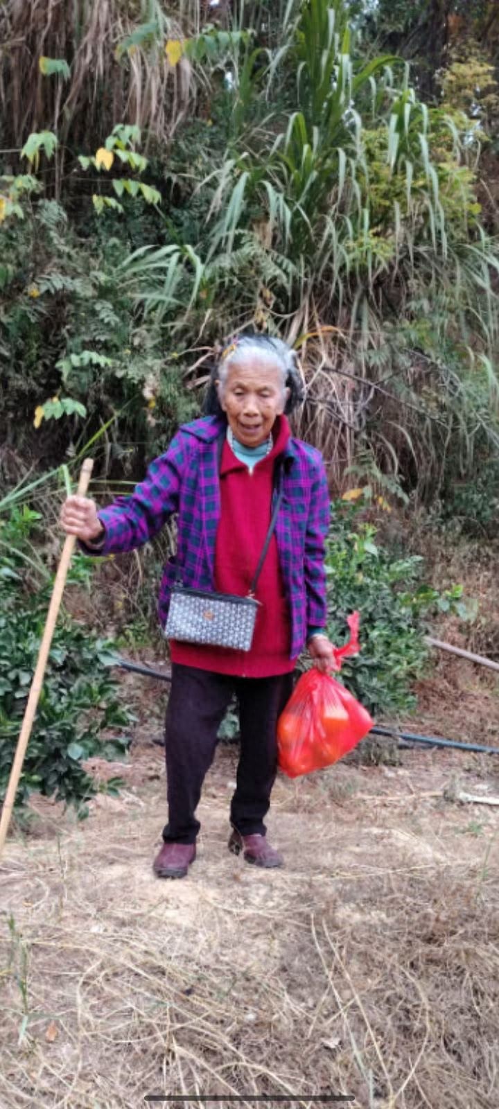走失者照片 赣州市寻人：八旬老太走失，斜挎菱形...