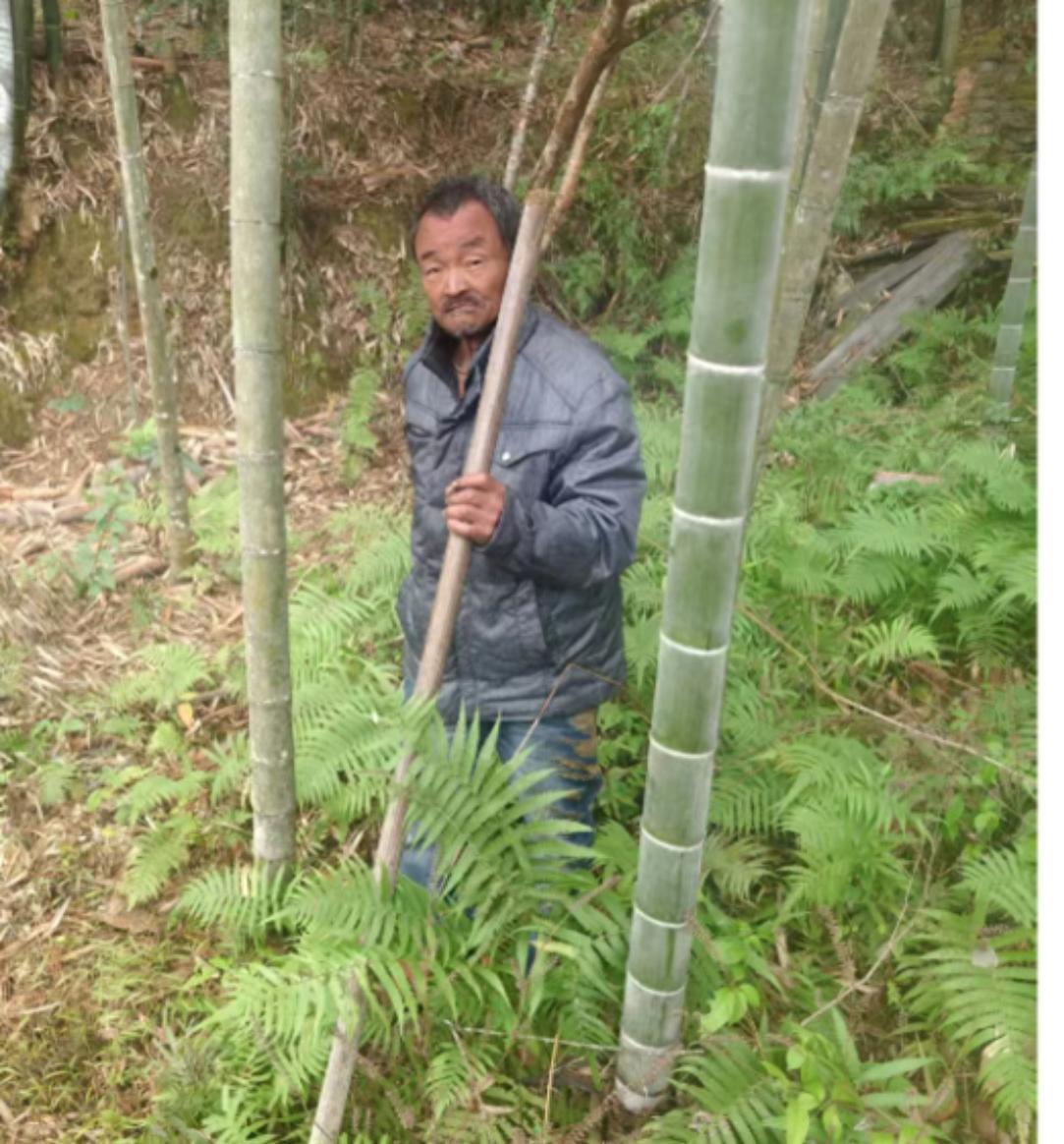走失者照片 南平市寻人：五旬男子走失，穿深色衣...