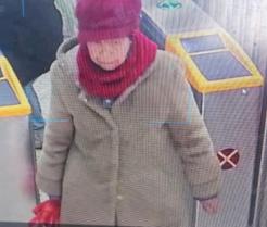 走失者照片 平顶山市寻人：六旬老太走失，戴红色...
