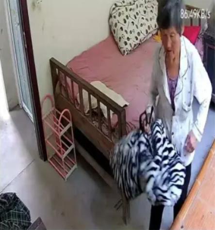 走失者照片 安庆市寻人：八旬老太走失，患脑梗，...