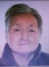 走失者照片 资阳市寻人：七旬老太走失，穿红色外...