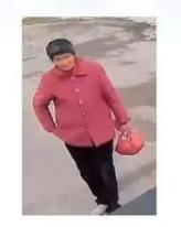 走失者照片 徐州市寻人：六旬老太走失，穿红色上...