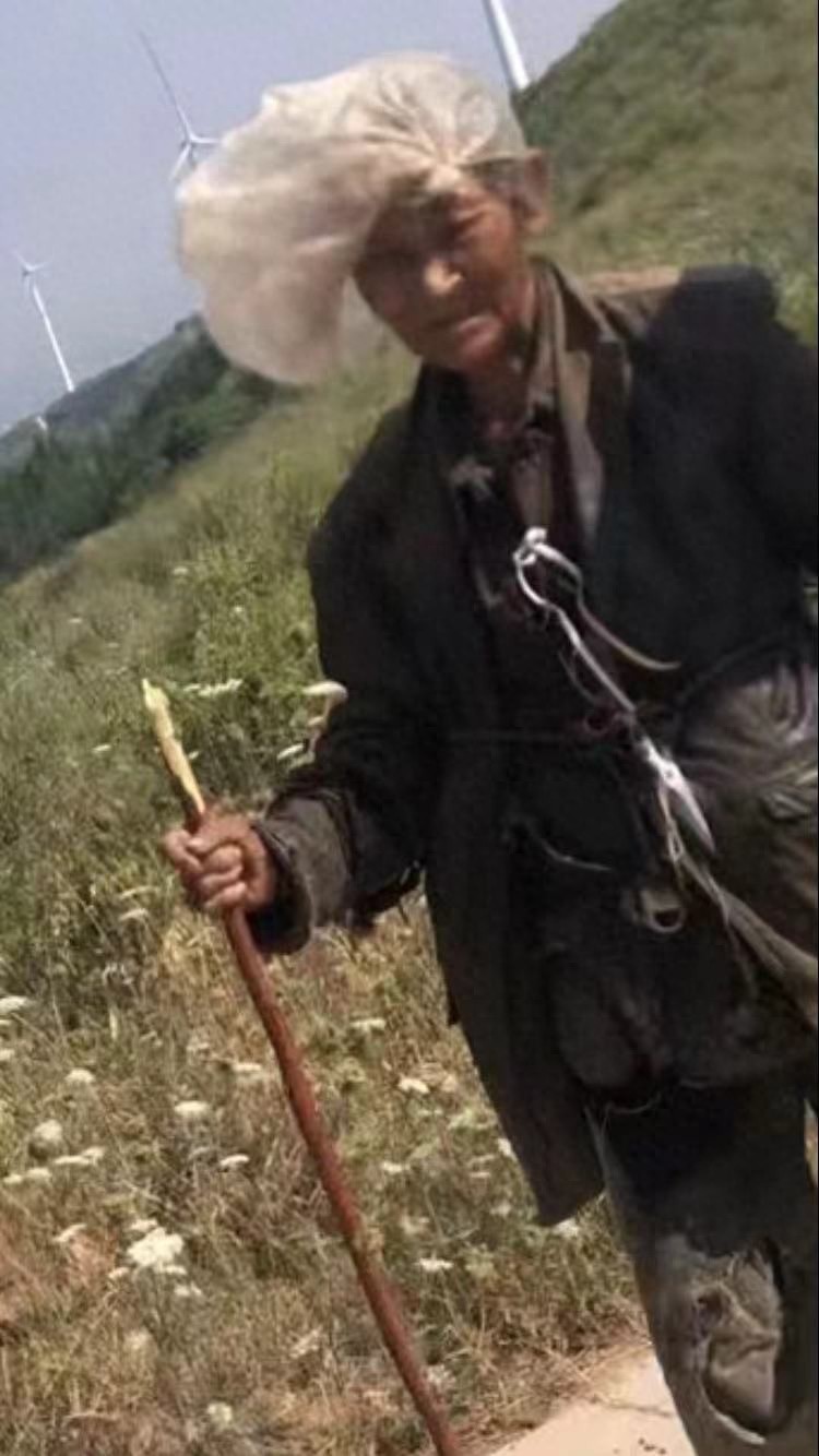 走失者照片 平顶山市寻人：七旬老太走失，患精神...