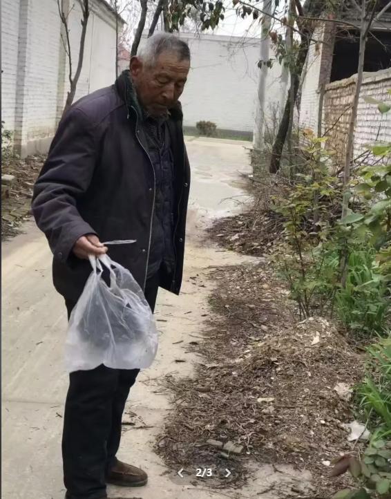 走失者照片 菏泽市寻人：七旬老人走失，穿蓝色棉...