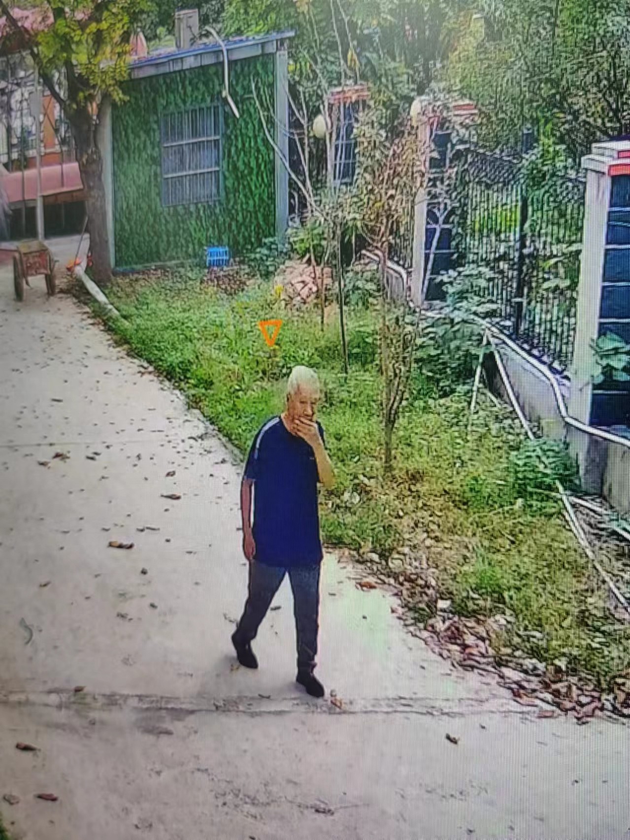 走失者照片 濮阳市寻人：七旬老人走失，穿深蓝色...