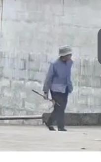 走失者照片 来宾市寻人：八旬老太走失，穿灰色上...