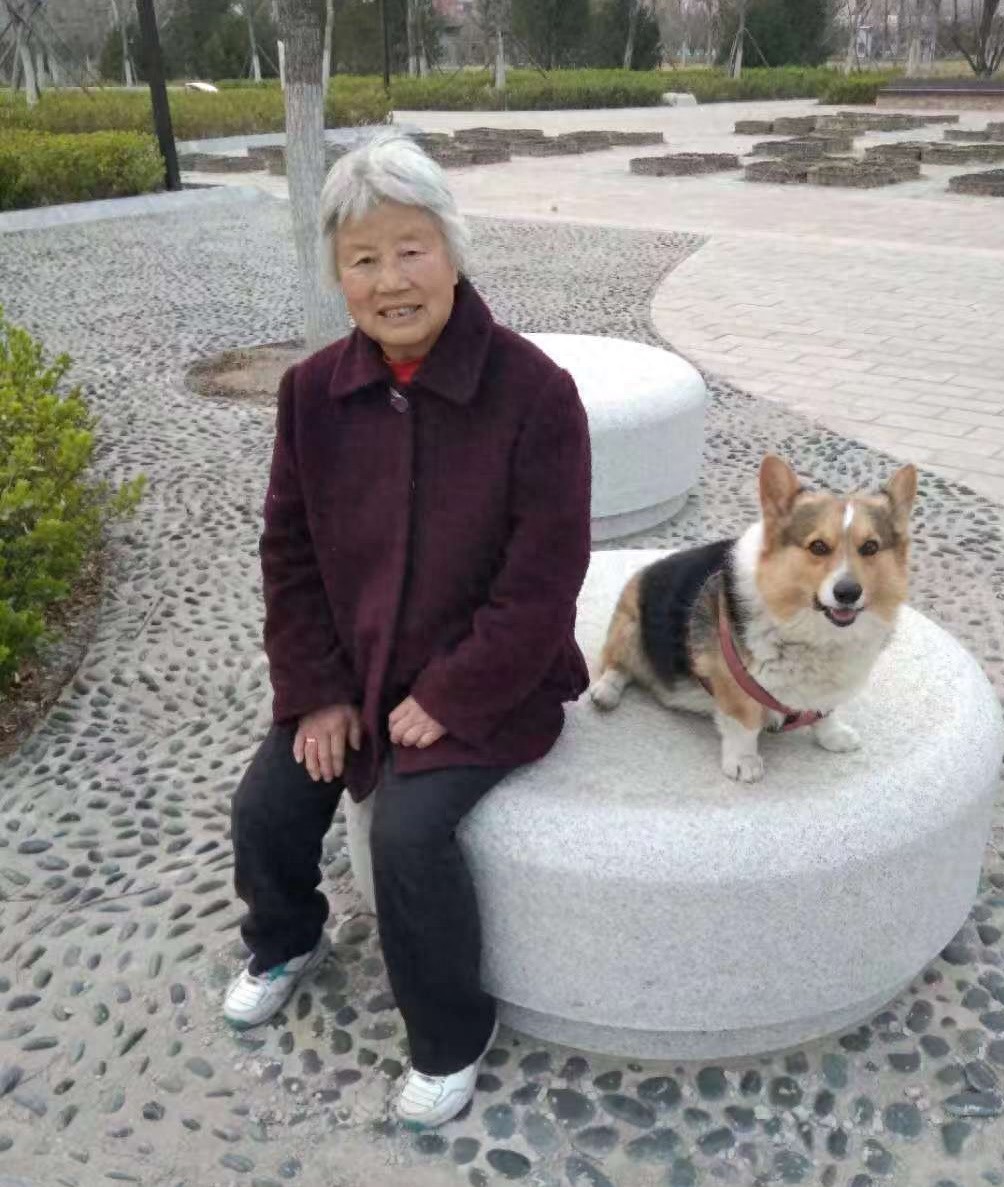 走失者照片 北京市寻人：七旬老太走失，穿黄绿色...