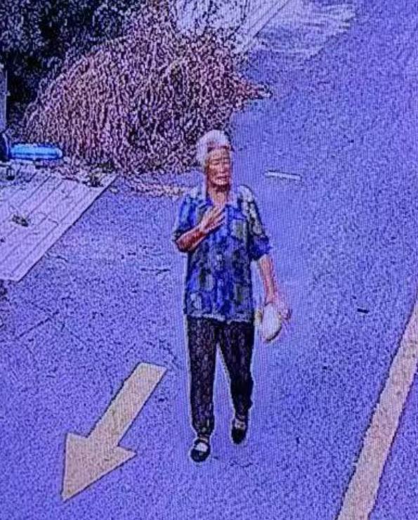 走失者照片 北京市寻人：七旬老太走失，穿黄绿色...