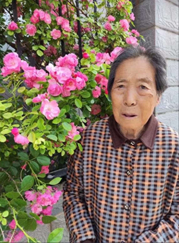走失者照片 石家庄市寻人：八旬老太走失，高1米...