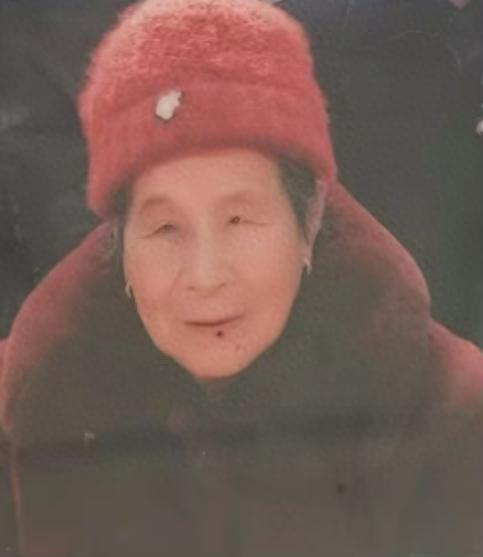 走失者照片 漯河市寻人：八旬老太走失，穿枣红色...