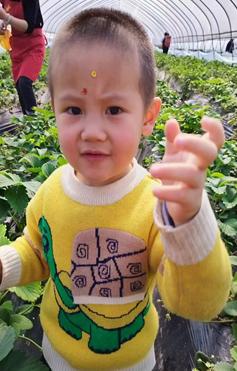 走失者照片 重庆市寻亲：3岁男孩被救助，被发现...