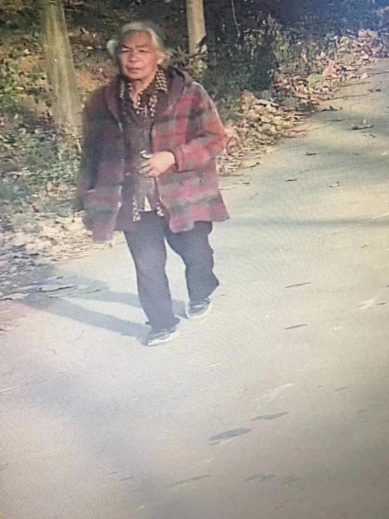 走失者照片 南阳市寻人：六旬老太走失，穿红色格...
