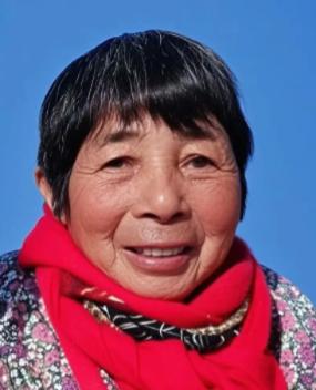 走失者照片 镇江市句容市寻人：七旬老太走失，穿...