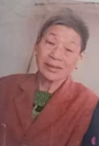 走失者照片 孝感市汉川市寻人：七旬老太走失，穿...