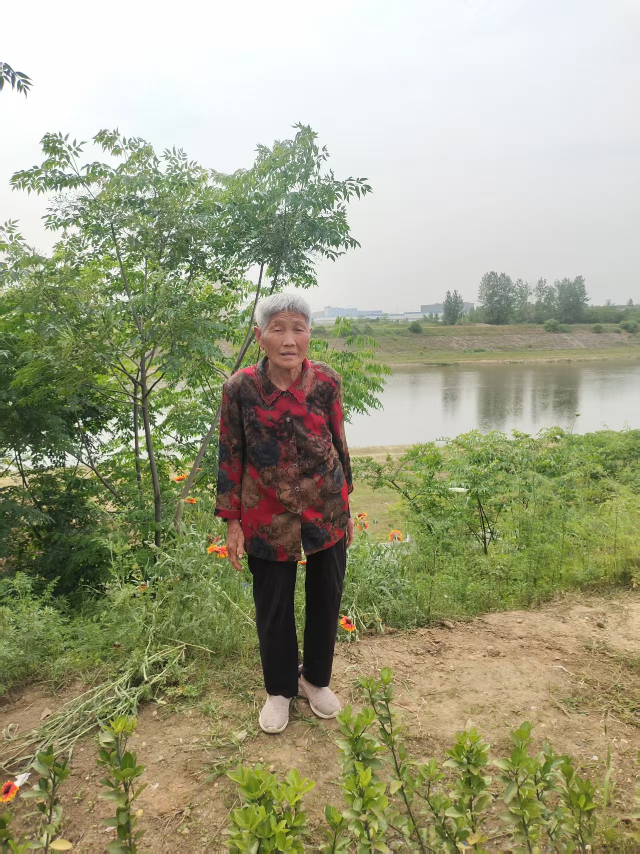 走失者照片 随州市寻人：八旬老太走失，穿黑色花...