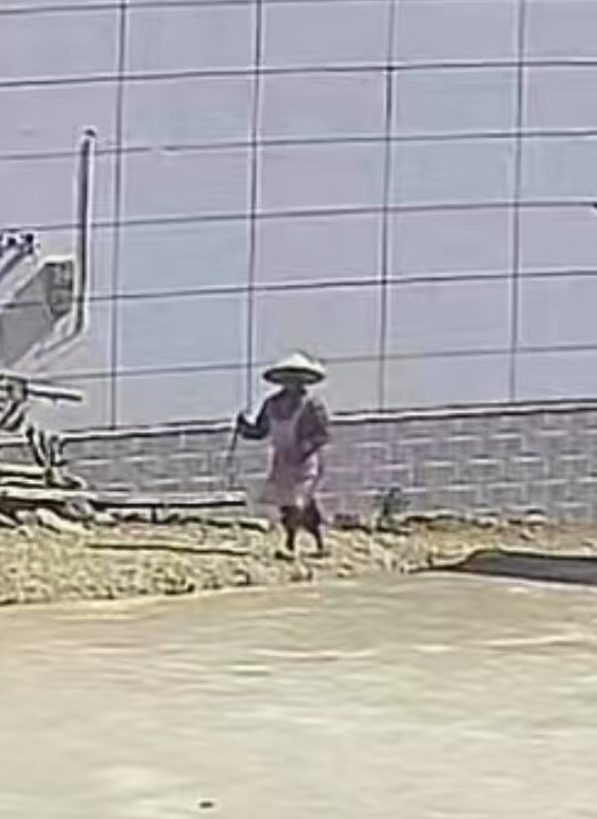 走失者照片 临沧市寻人：八旬老太走失，系粉色围...