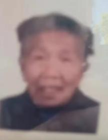 走失者照片 咸宁市赤壁市寻人：九旬老太走失，穿...
