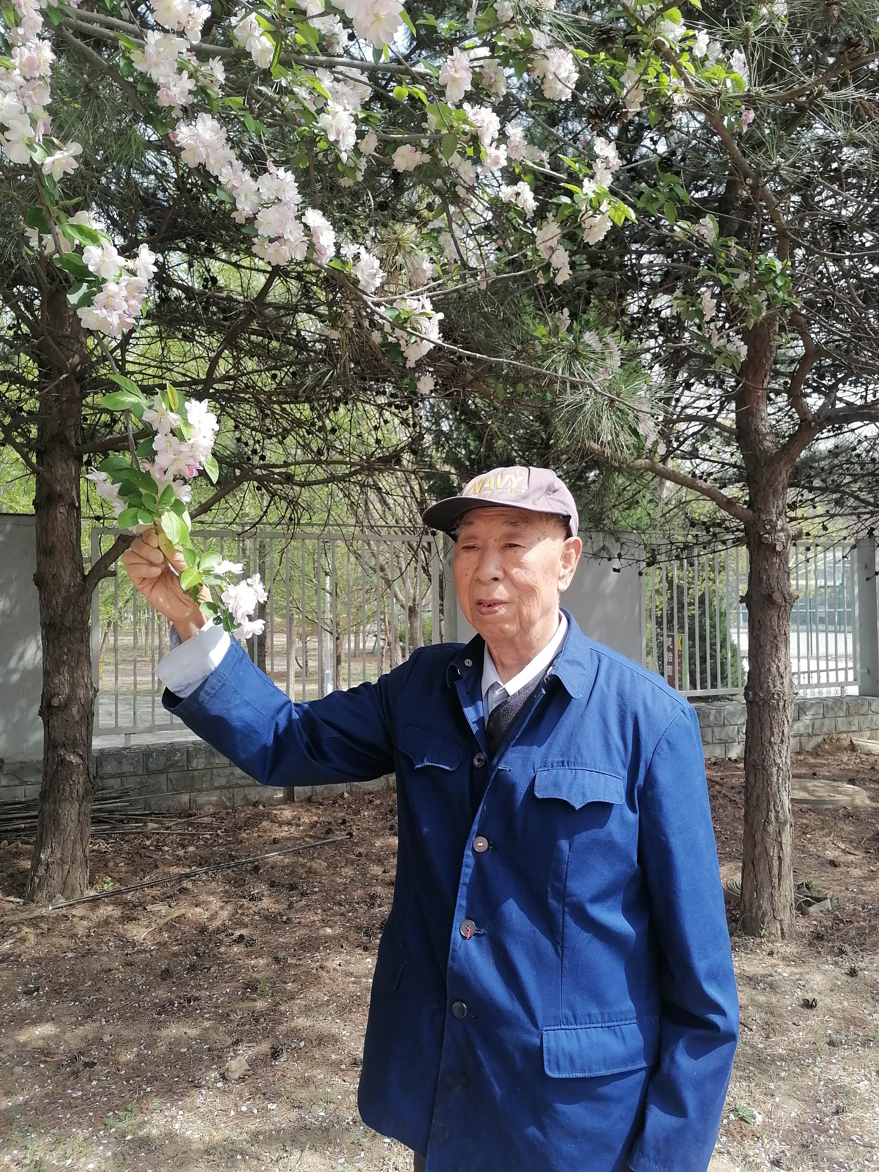 走失者照片 北京市寻人：九旬老人走失，穿蓝色上...