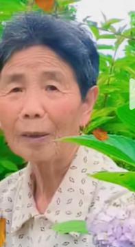 走失者照片 新余市寻人：八旬老太走失，穿解放鞋...