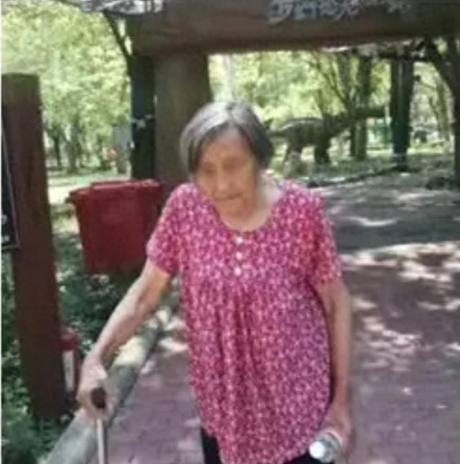 走失者照片 廊坊市霸州市寻人：八旬老太走失，穿...