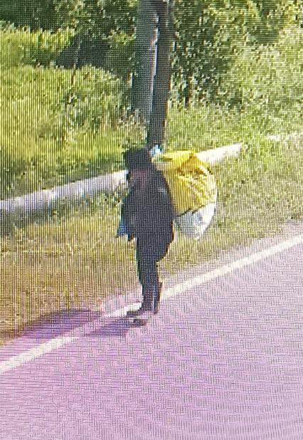 走失者照片 宜春市寻人：七旬老人走失，穿深色衣...