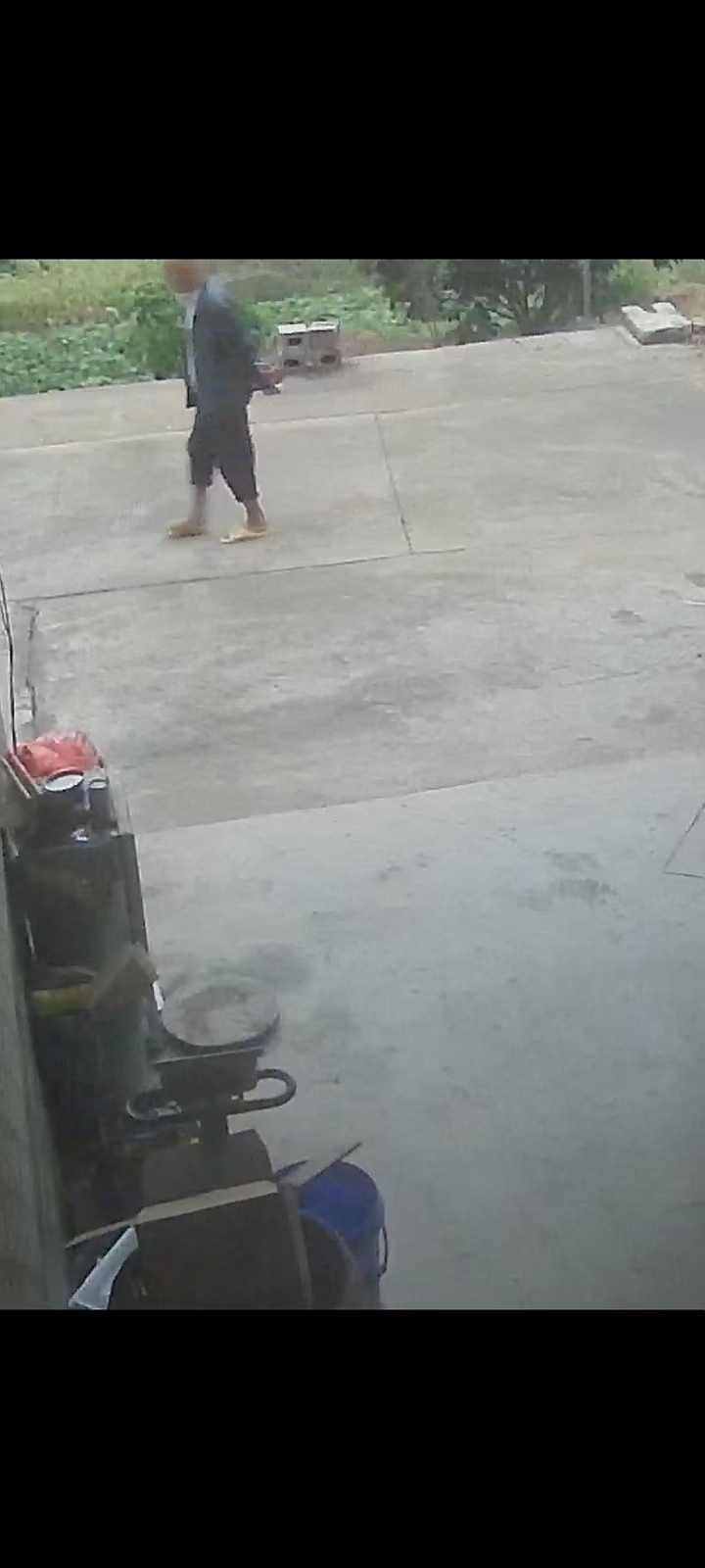 走失者照片 桂林市荔浦市寻人：七旬老人走失，穿...