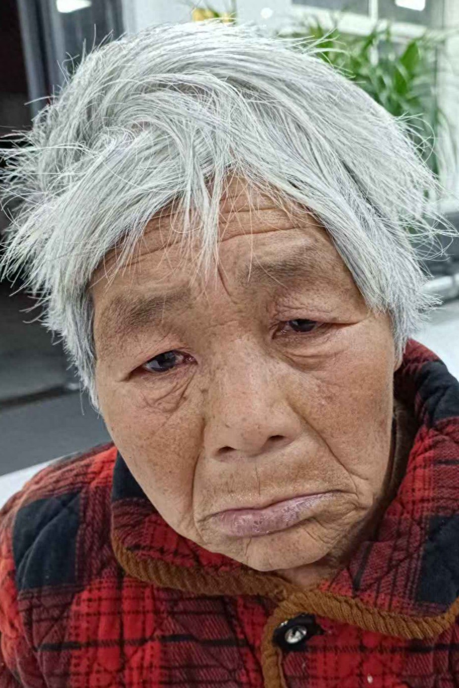 走失者照片 泰安市寻亲：七旬老太被救助，自述叫...
