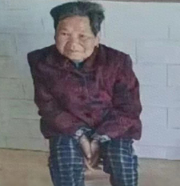 走失者照片 宝鸡市寻人：八旬老太走失，穿棕色上...