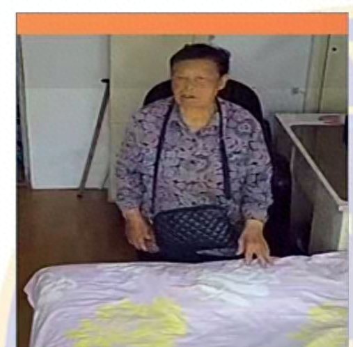 走失者照片 盘锦市寻人：八旬老太走失，穿紫色花...