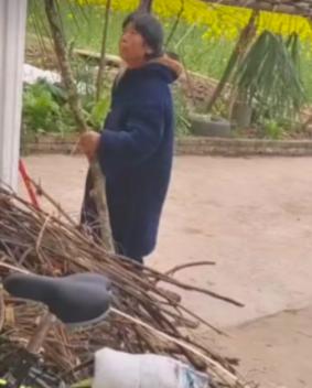 走失者照片 绵阳市寻人：七旬老太走失，患精神障...
