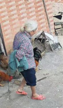走失者照片 贵港市桂平市寻人：八旬老太走失，患...