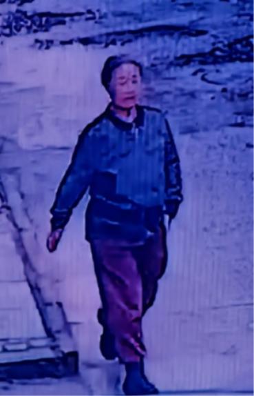 走失者照片 大同市寻人：六旬老太走失，穿蓝色印...