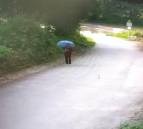 走失者照片 桂林市寻人：八旬老太走失，穿暗红色...