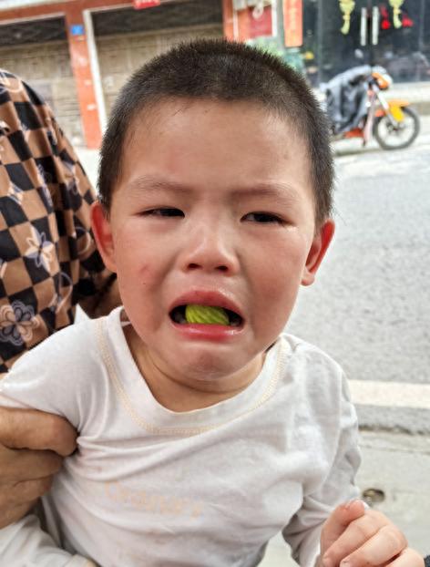 走失者照片 重庆市寻亲：4岁男孩自幼被救助，精...