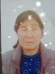 走失者照片 陇南市寻人：五旬女子走失，穿淡紫色...