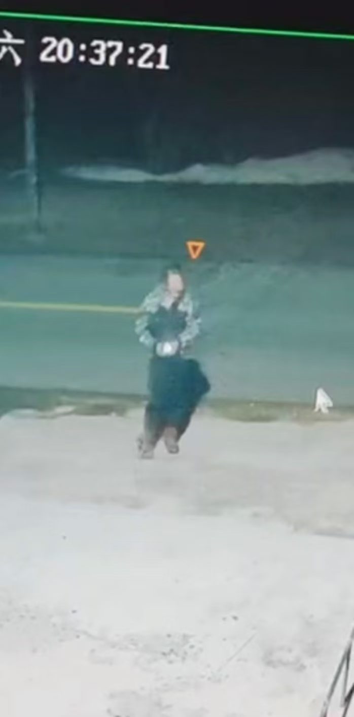 走失者照片 铁岭市寻人：六旬老太走失，患小脑萎...