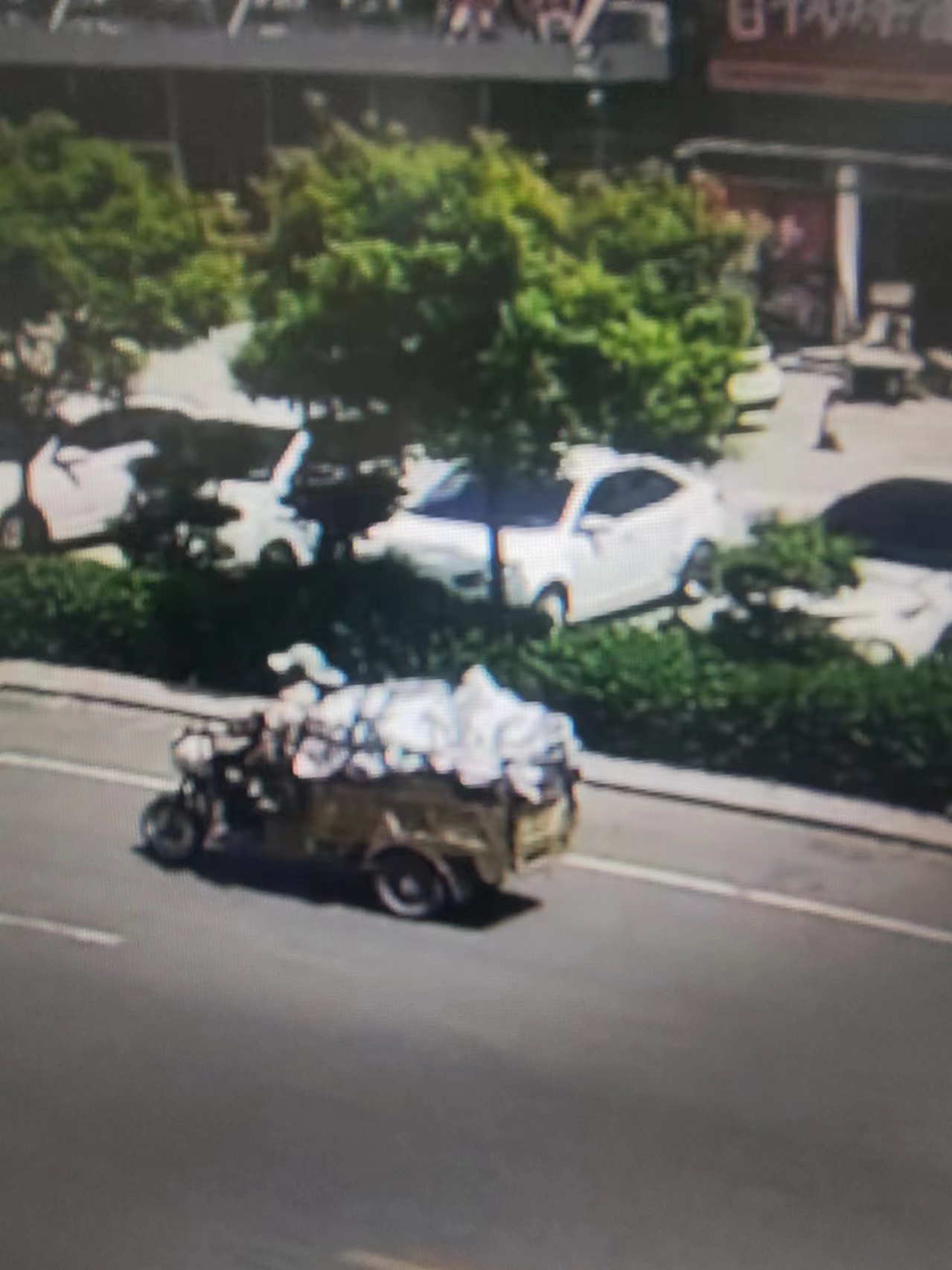 走失者照片 石家庄市晋州市寻人：七旬老太走失，...