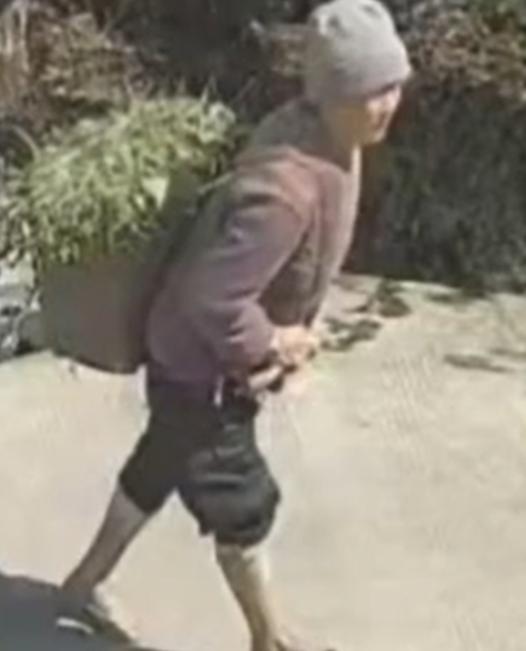 走失者照片 泸州市寻人：七旬老太走失，穿深紫色...
