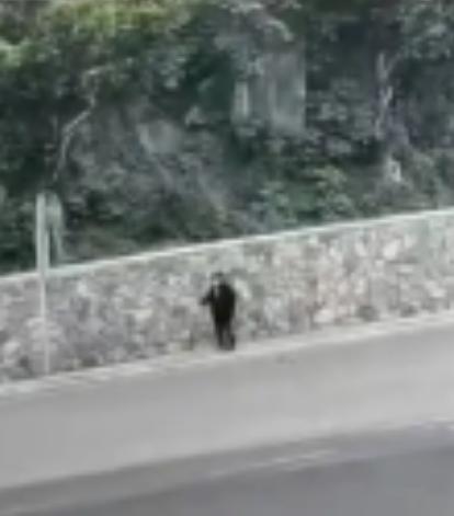 走失者照片 重庆市寻人：七旬老人走失，患脑梗，...
