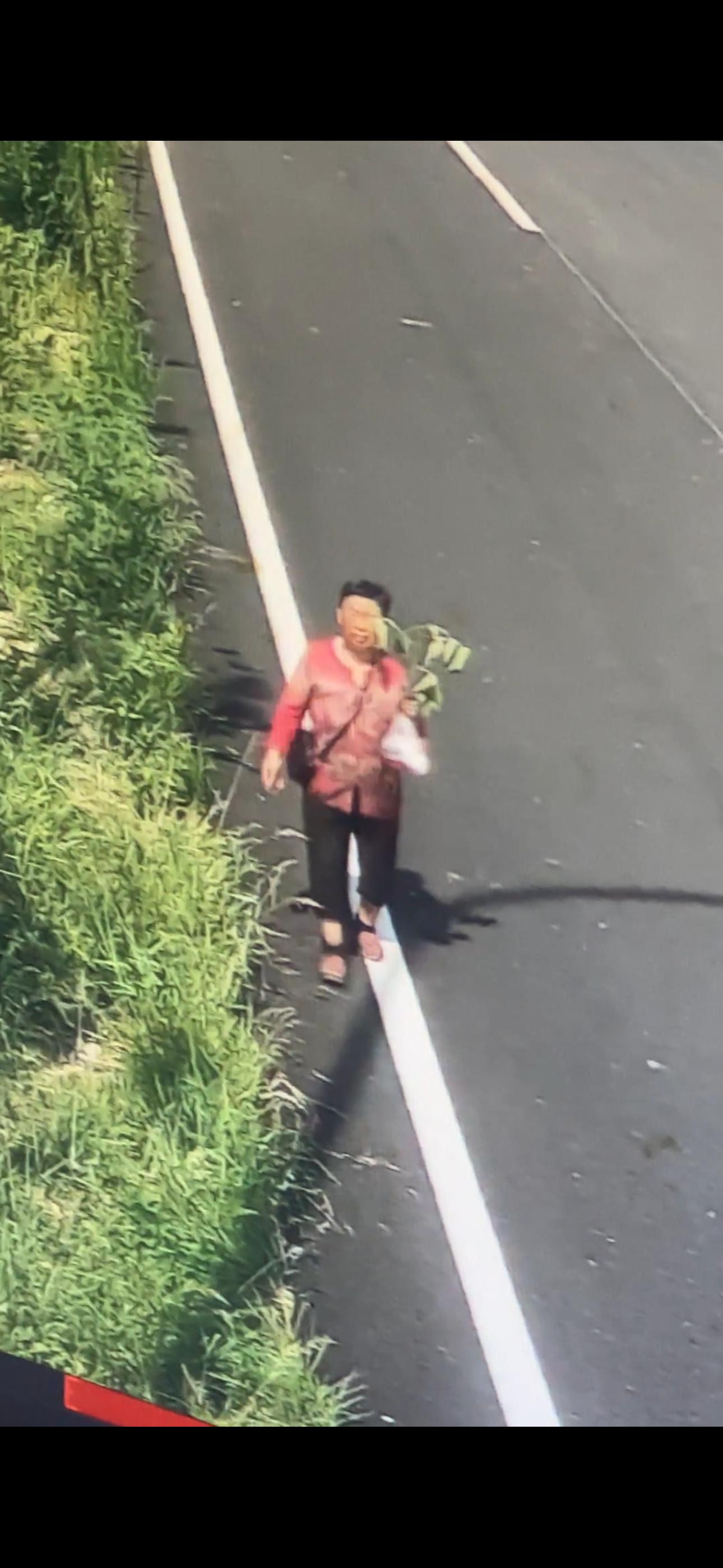 走失者照片 武汉市寻人：七旬老太走失，短发，穿...